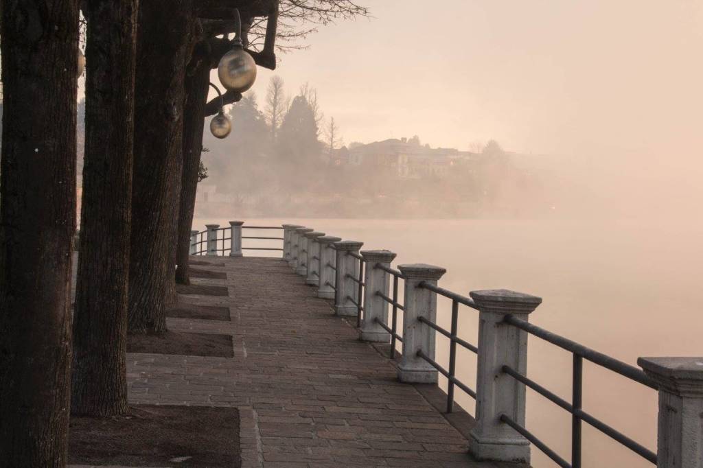 Nebbie nel varesotto