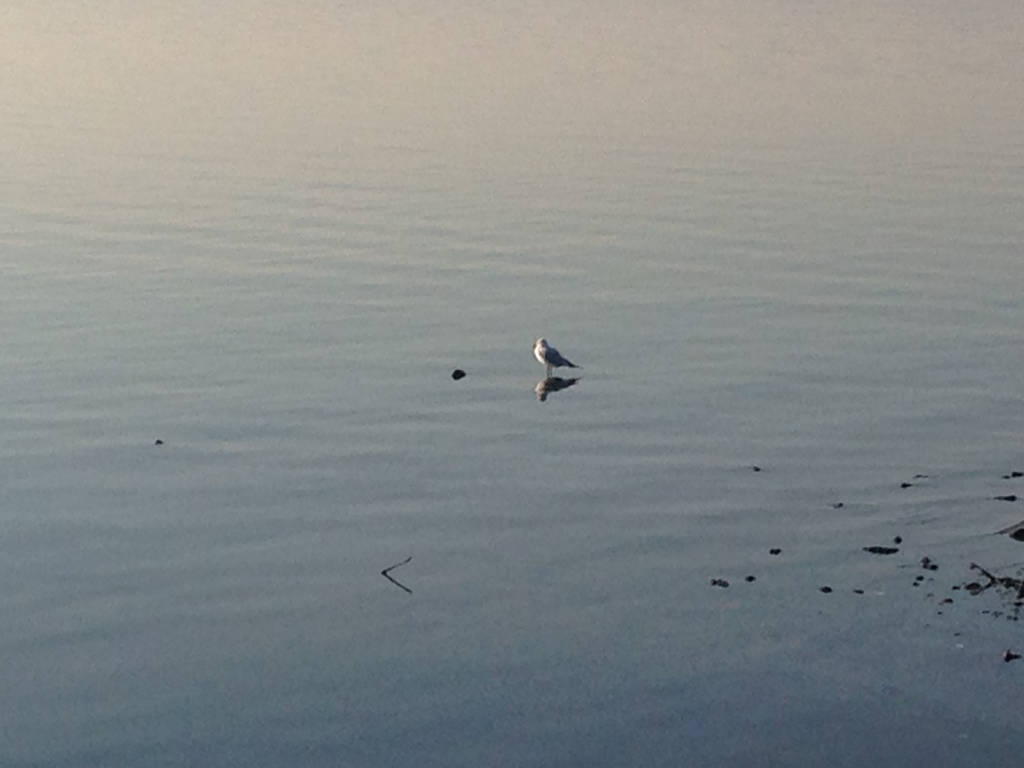 Il Verbano "in ritirata"