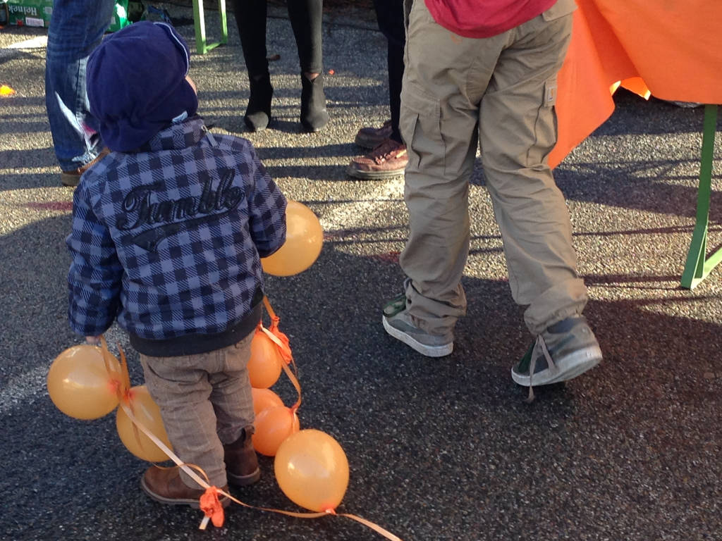 Inaugurazione del semestre olandese al Jrc