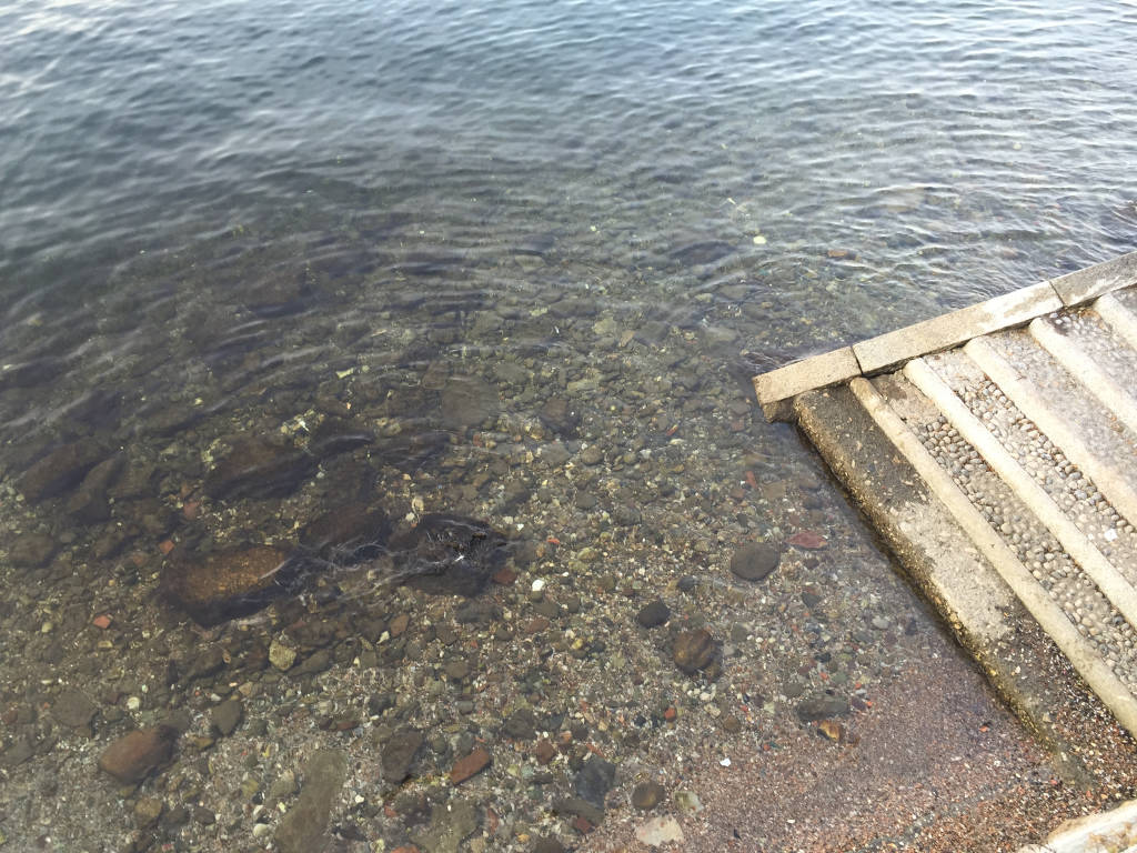 Lago Maggiore basso