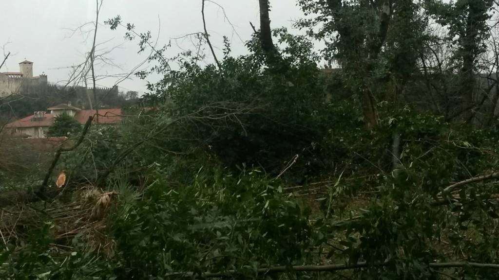 Le case abbandonate dietro l'ospedale di Angera