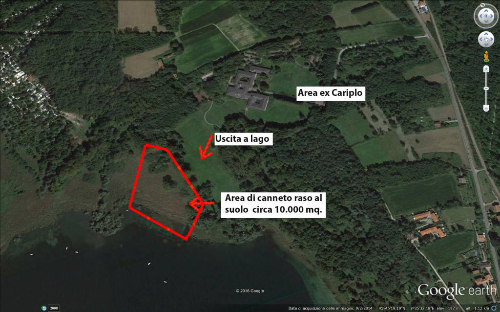 Angera, disboscamento nell'area della Buschera