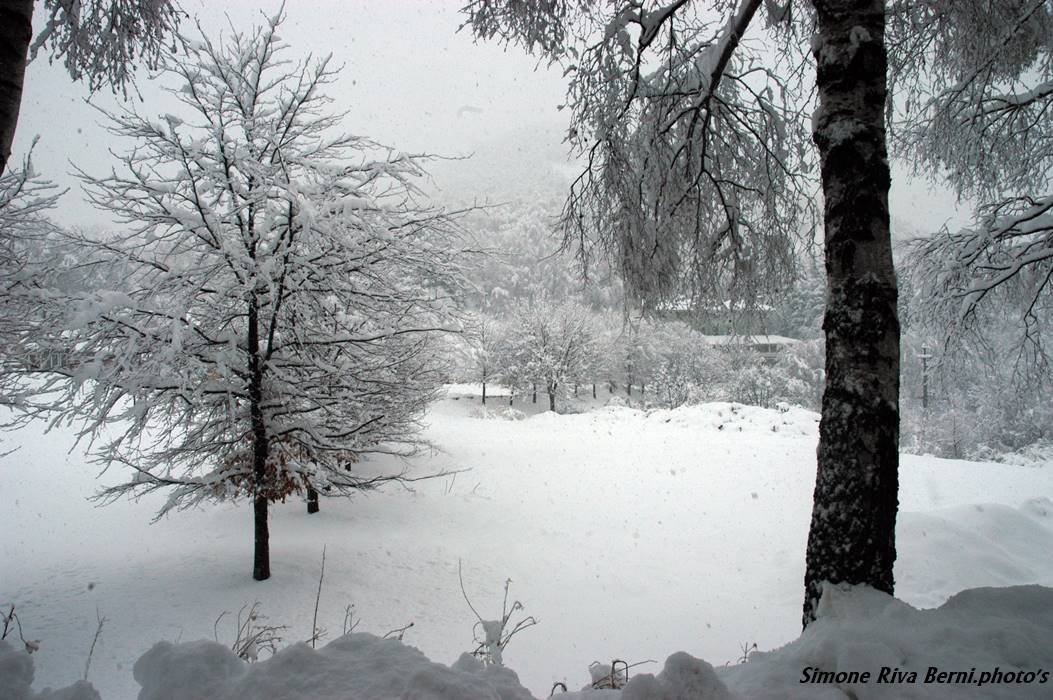Neve alla Forcora