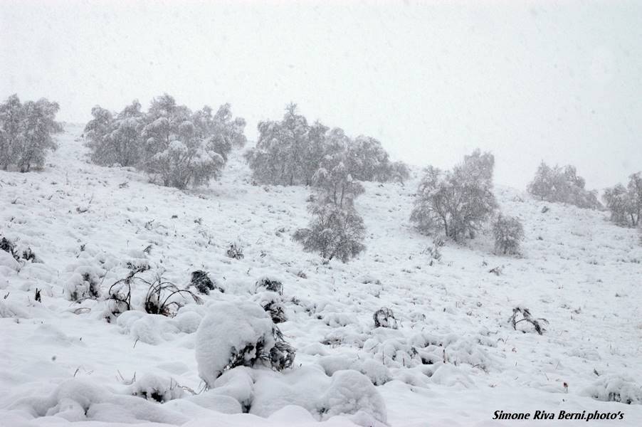 Neve alla Forcora