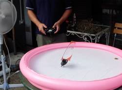 La barca a vela più piccola del mondo