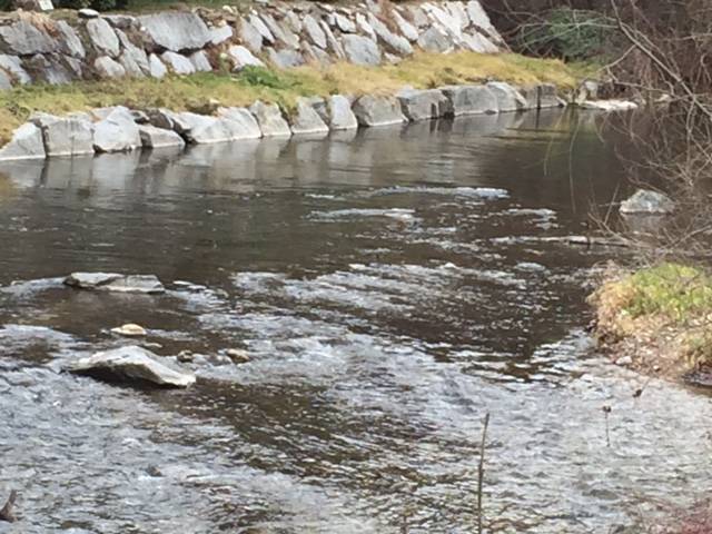 pesca trota febbraio 2016