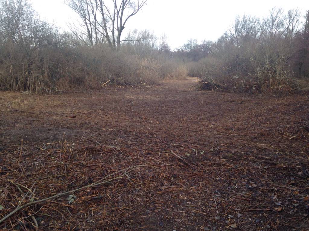 Sopralluogo all'oasi disboscata