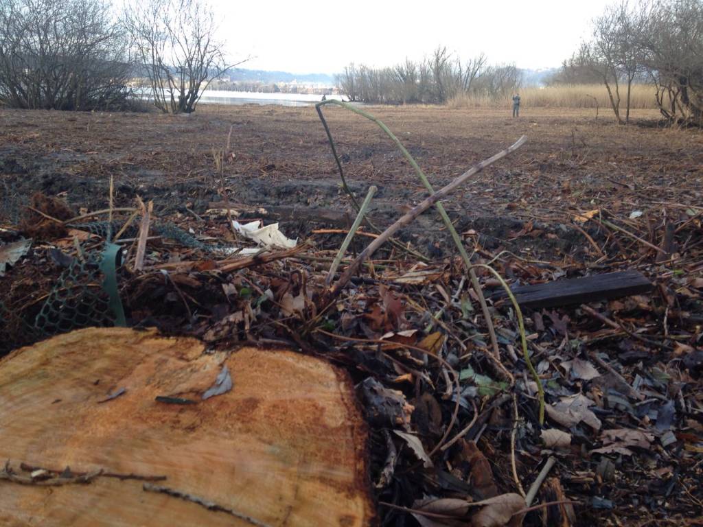 Sopralluogo all'oasi disboscata