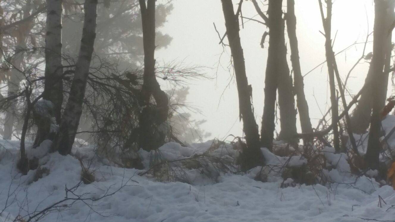 San Quirico in bianco