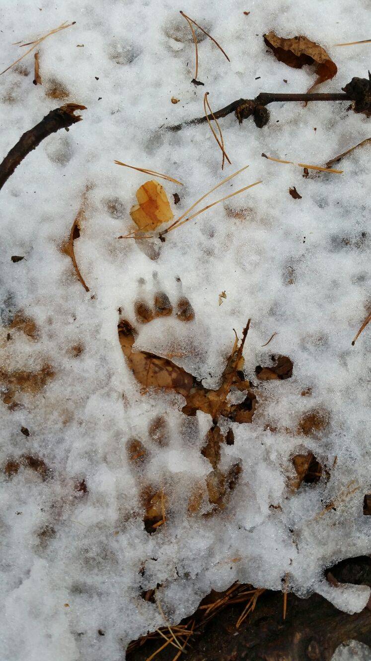 San Quirico in bianco
