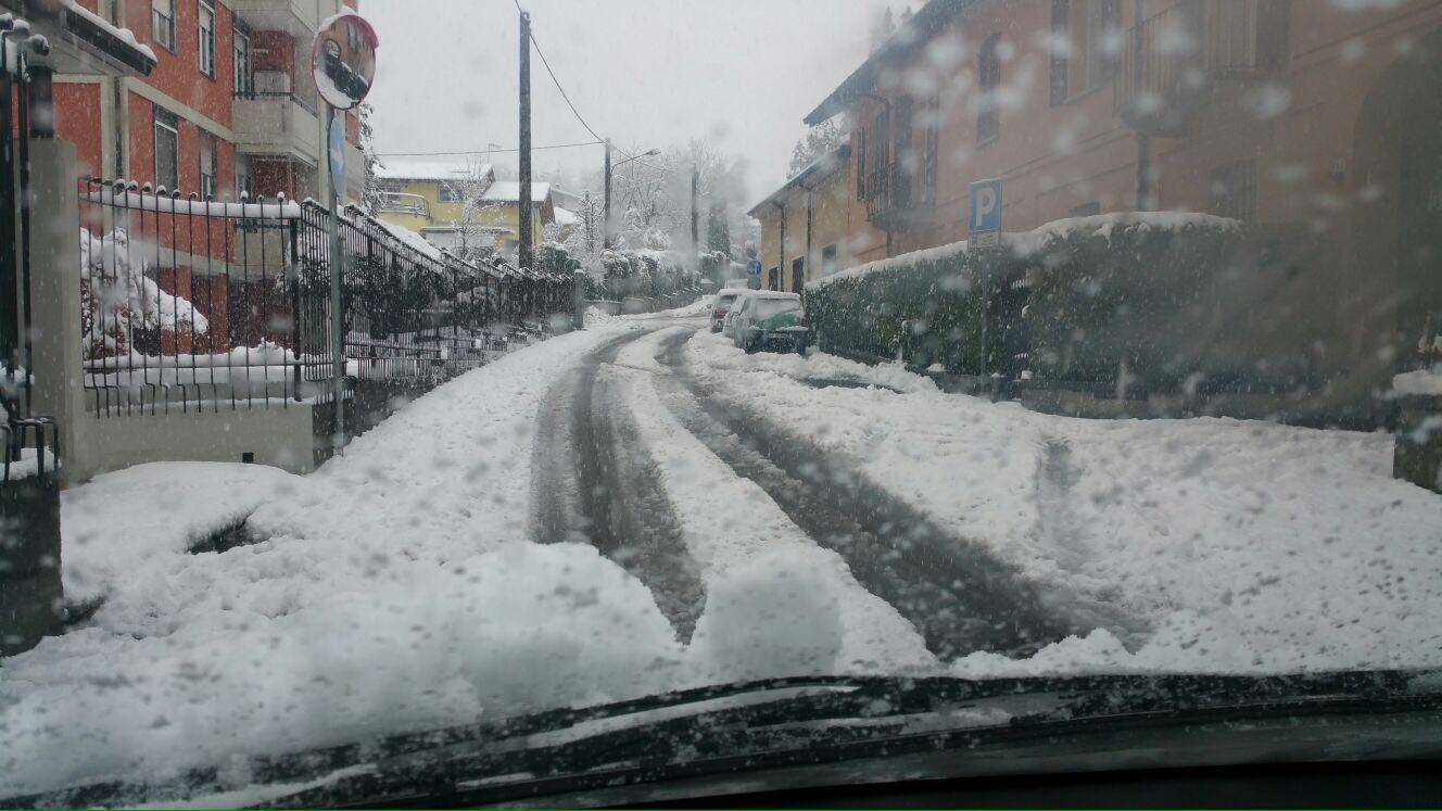 Sesto Calende, la Protezione Civile al lavoro