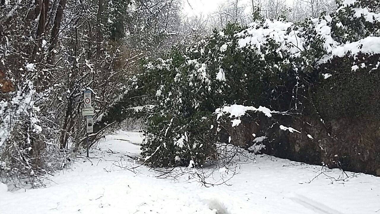 Sesto Calende, la Protezione Civile al lavoro