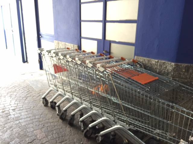 a luino il supermarket col carrello per cani