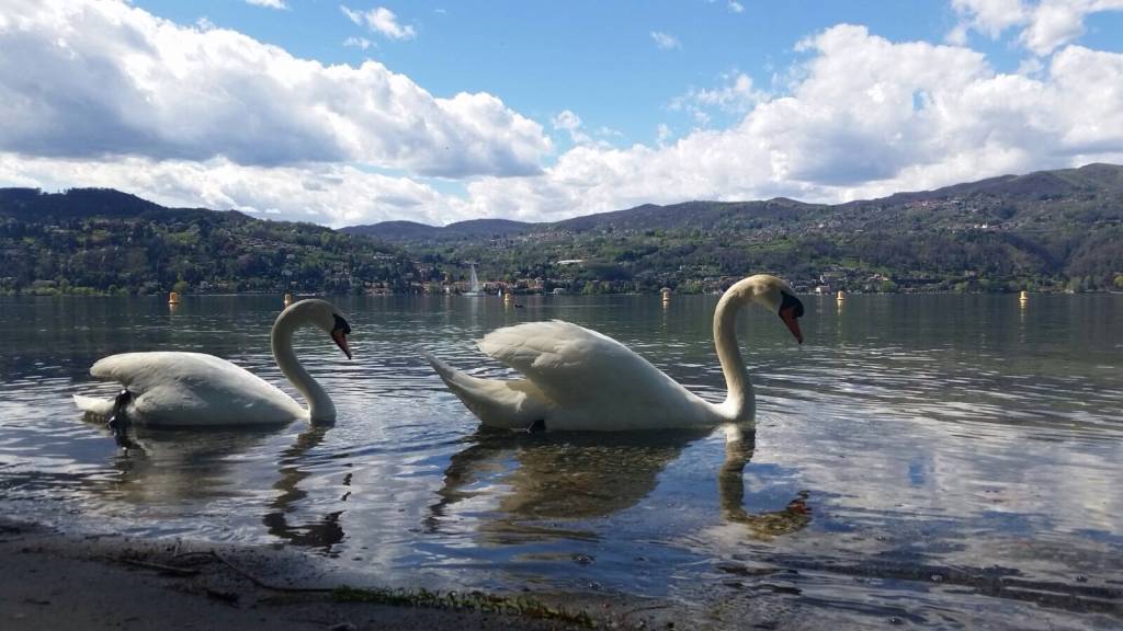 Il parco della Quassa