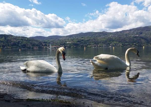 Riflessi al parco della Quassa