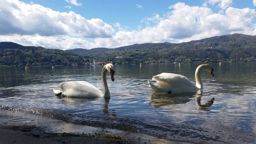 Il parco della Quassa