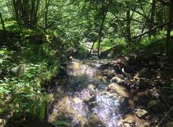 Il trekking degli Insubri