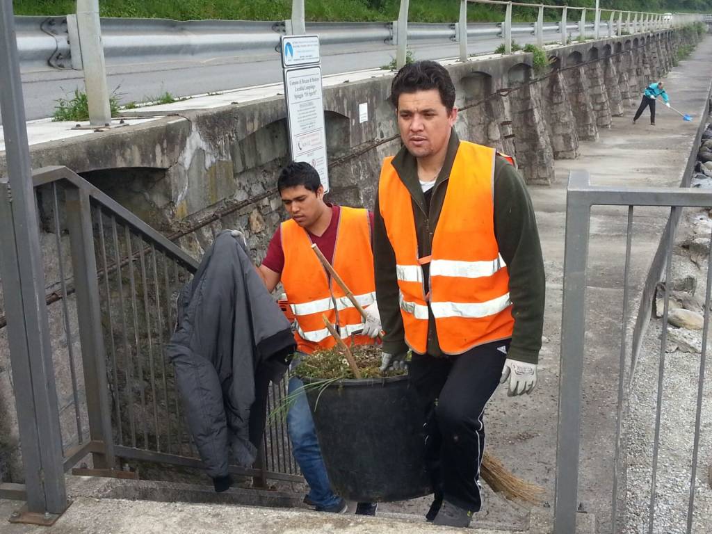 giornata ecologica 7 maggio 2016 brezzo di bedero