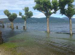 Lago Maggiore al limite, fuoriuscito a Monvalle
