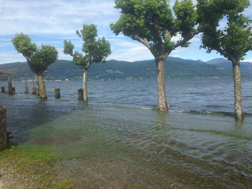 Lago Maggiore al limite, fuoriuscito a Monvalle