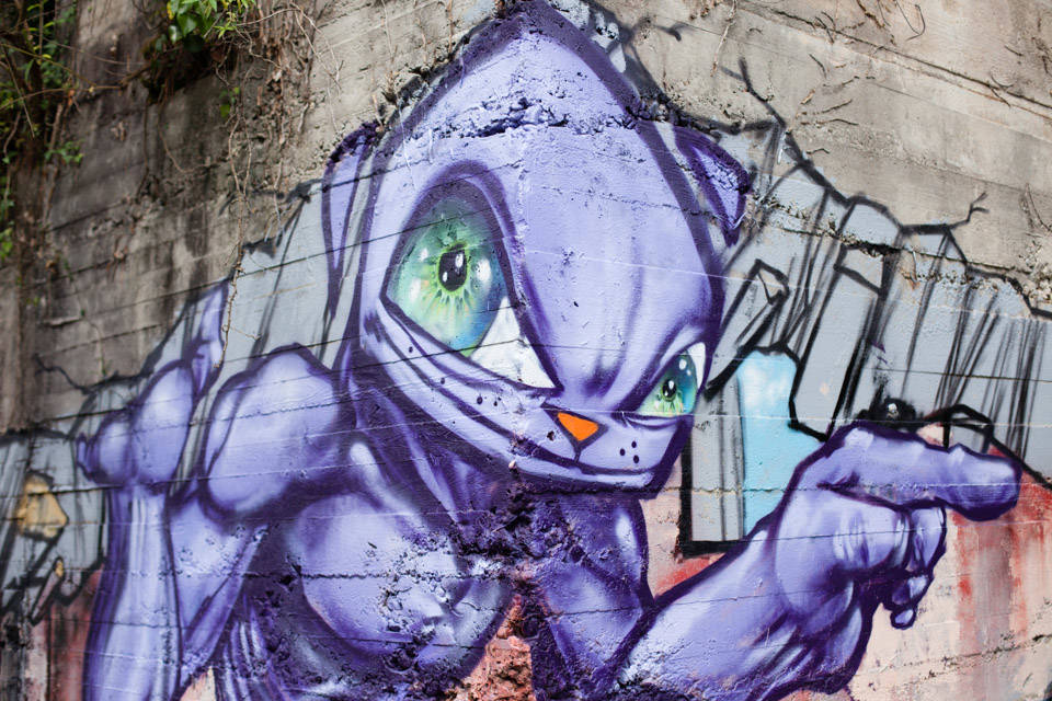 Ripuliamo Le Fornaci di Caldè 