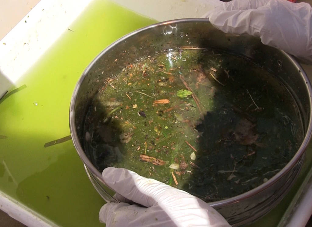 Goletta dei laghi Legambiente 2016