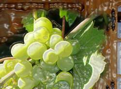 festa dell'uva gavirate