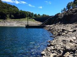 La domenica dei lettori