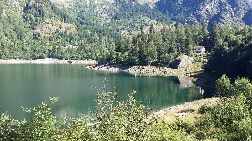 La domenica dei lettori