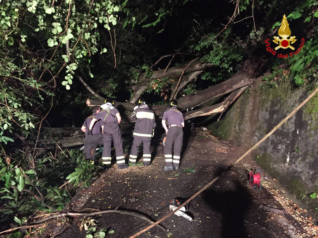 maltempo agosto 2016 grandine