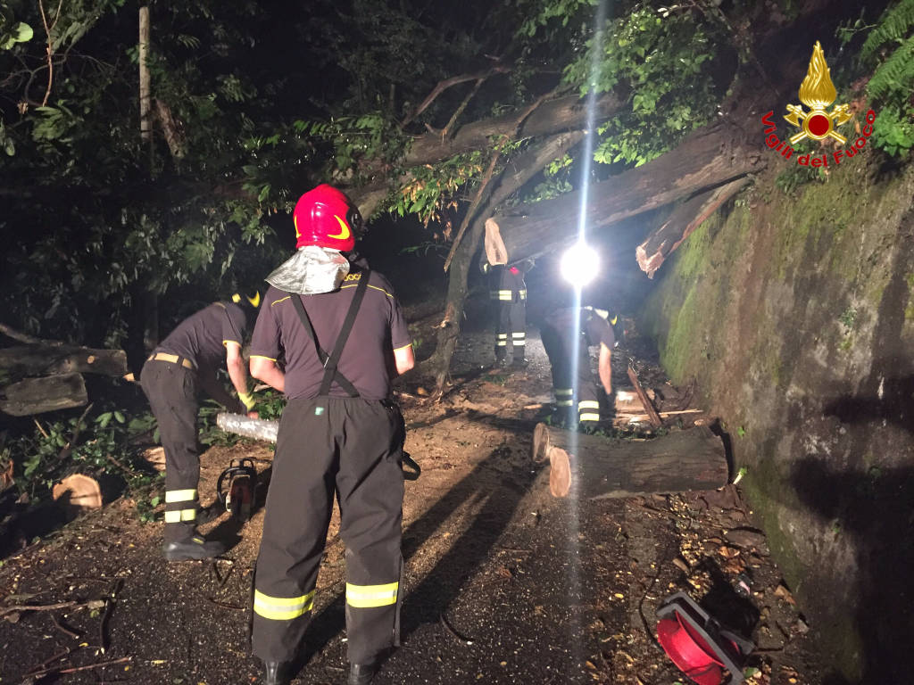 maltempo agosto 2016 grandine