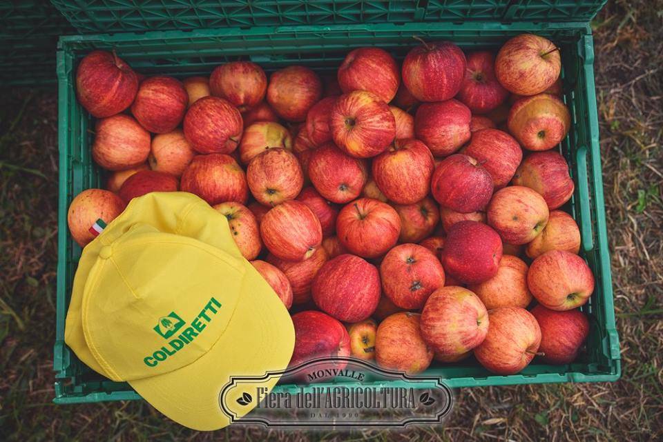 fiera degli agricoltori monvalle