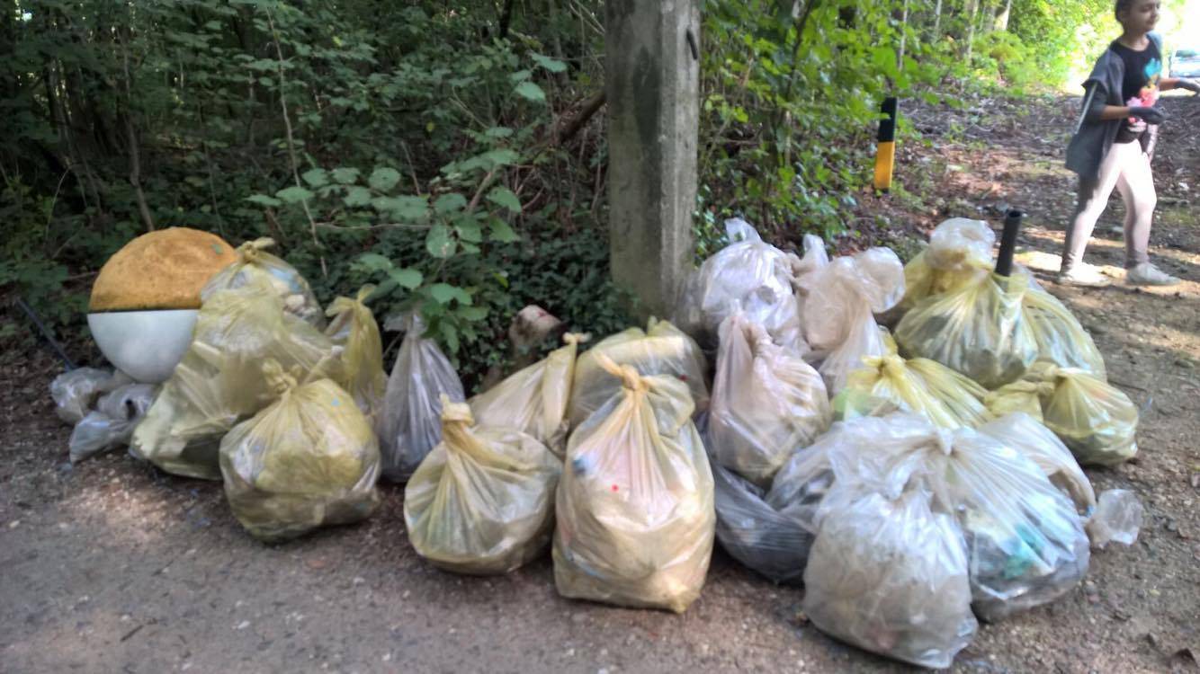 Puliamo il mondo a Ispra