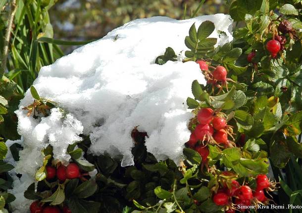 Prima neve alla Forcora