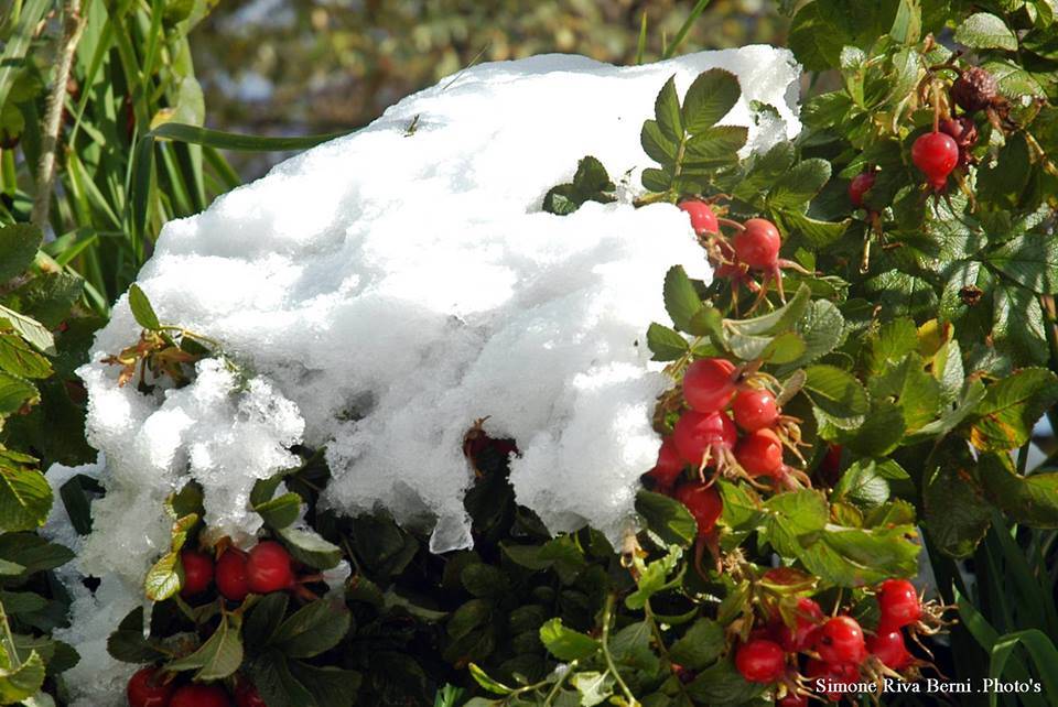 La prima neve alla Forcora