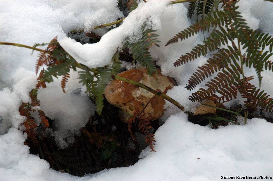 La prima neve alla Forcora