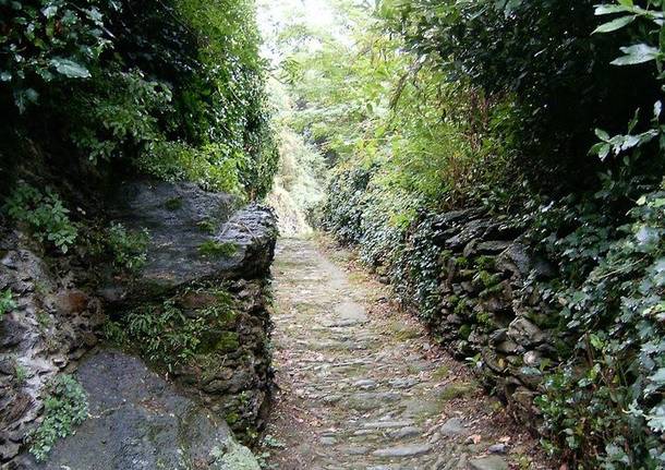 sentiero del viandante