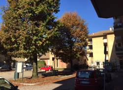 Voldomino e i negozi che se ne vanno