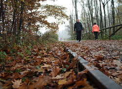 Ferrovia della Valmorea