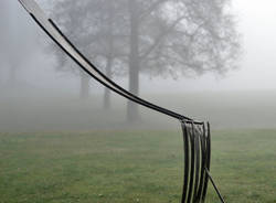 angera forchetta divelta