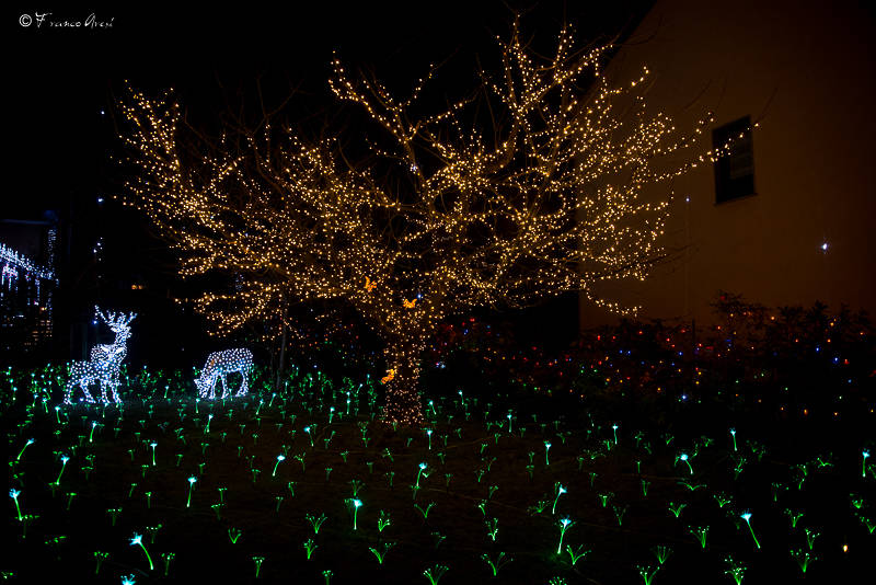 Casa di Natale a Leggiuno - 2016