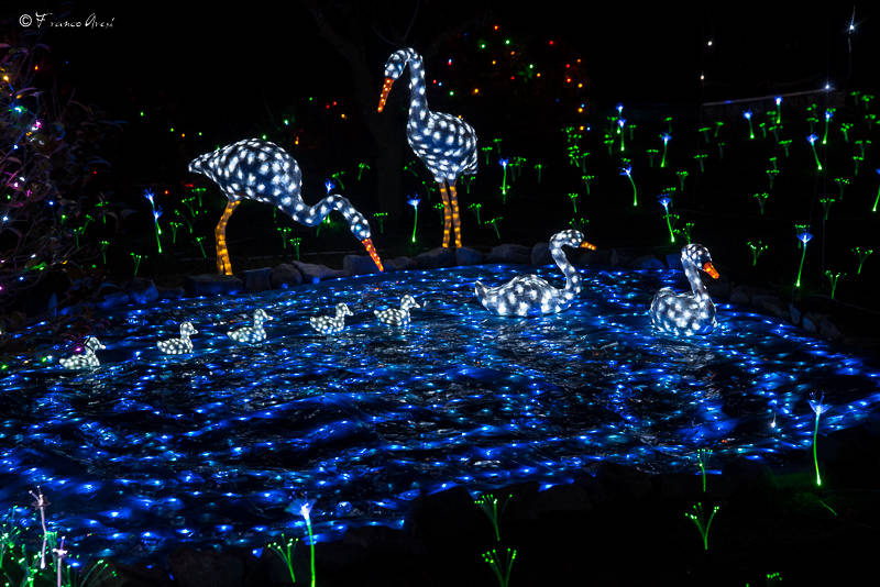 Casa di Natale a Leggiuno - 2016