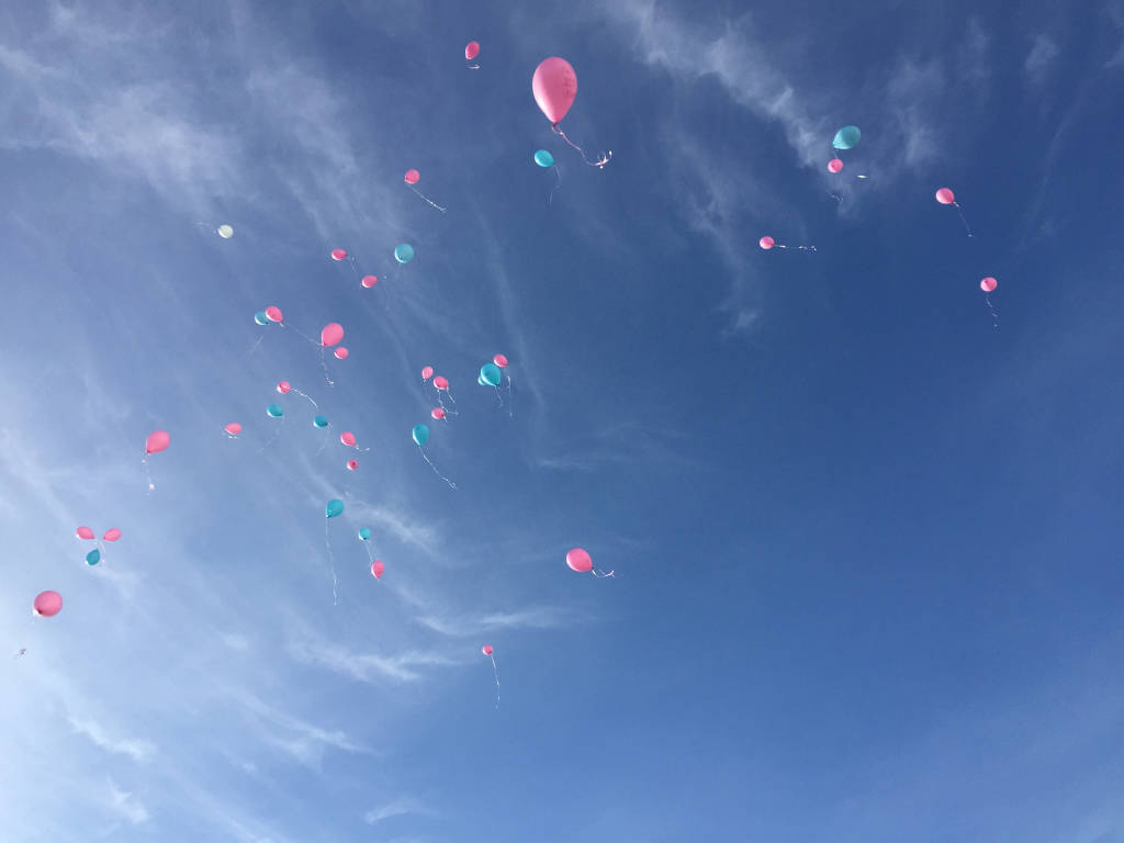 La protesta delle mamme all'ospedale di Angera