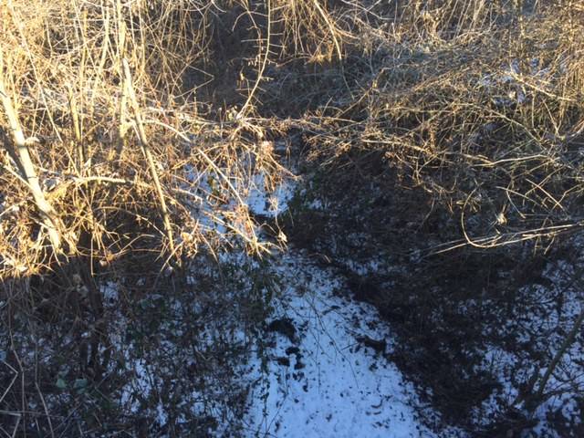 giorno della memoria, luino,luinese, tresa, cremenaga