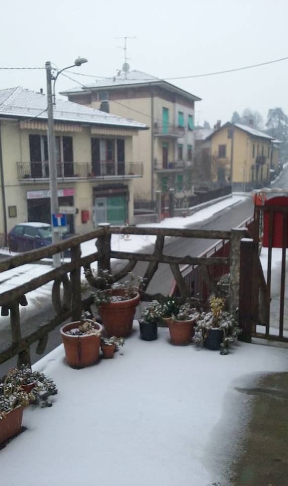 Nevicata 10 gennaio 2017