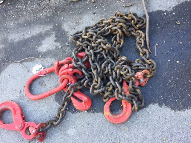 La potatura dei platani al Lido