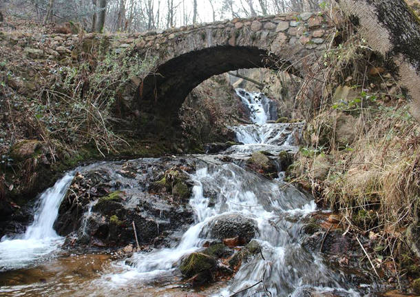 Cuasso al Monte, cascate del rio Cavallizza - foto di Maria Desogos