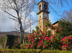 Primavera a Cuasso - foto di Clara Comolli