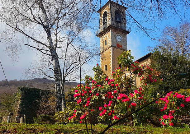 Primavera a Cuasso - foto di Clara Comolli
