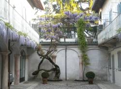 Arte - Mostre 